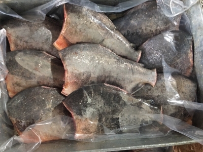 Cá chim làm sạch